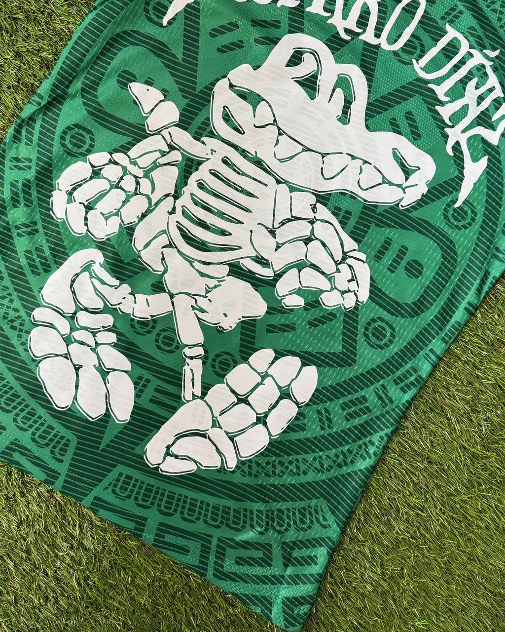 Álvaro Díaz x Selección Mexicana Jersey